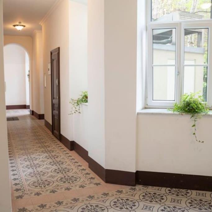 Josef'S Home I Apartment Klaehrgasse I 01 Wien Eksteriør billede